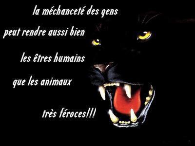 Véridic!